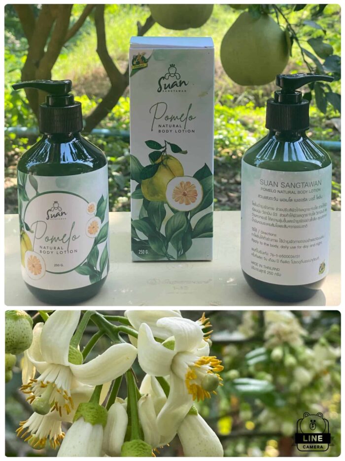 พอเมโล เนเชอรัล บอดี้ โลชั่น (Pomelo Natural Body Lotion) ขนาด 250 กรัม ตรา สวนแสงตะวัน (Suan Sangtawan)