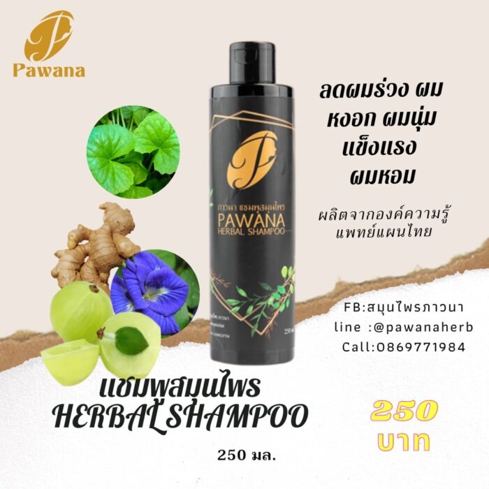 แชมพูสมุนไพร ขนาด 250 มล. ตรา ภาวนา (Pawana) - รูปภาพ 3