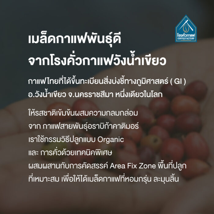 สบู่กาแฟสูตรผิวกาย ขนาด 90 กรัม ตรา โรงคั่วกาแฟ - รูปภาพ 4