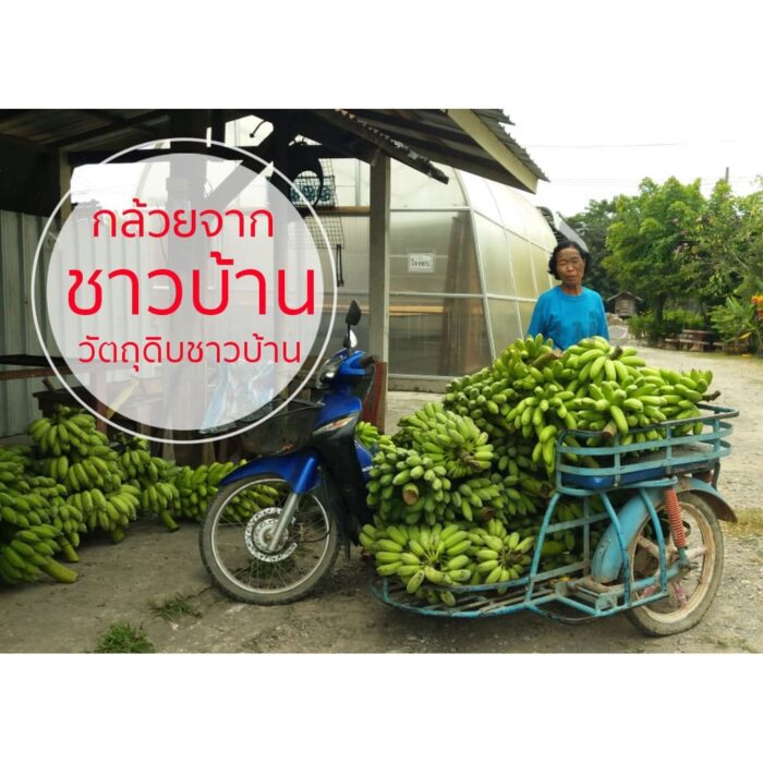 กล้วยกระทบเปลือก (กล้วยส้มทอดทั้งเปลือก อบเกลือ เค็มน้อย) ขนาด 500 กรัม ตรา แม่อารักษ์ - รูปภาพ 8