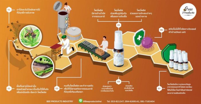 โพรโพลิสเมาท์สเปรย์ 15 มล. ตรา บีโปรดักส์ไทย (Bee Products Thai) - รูปภาพ 5