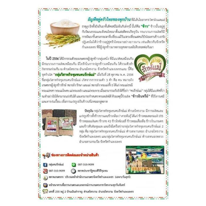 ข้าวหอมมะลิ 1 กิโลกรัม ตรา กลุ่มวิสาหกิจชุมชนกลุ่มฅนรักษ์แม่ - รูปภาพ 2