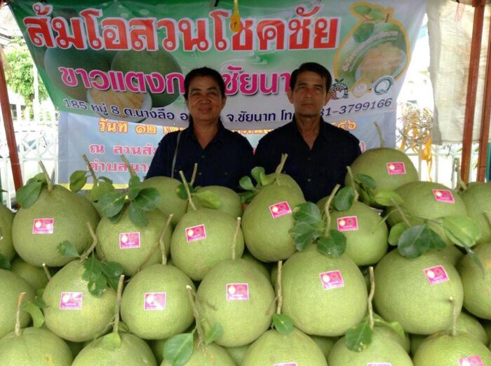 ส้มโอขาวแตงกวา @ สวนโชคชัย ตรา สวนโชคชัย - รูปภาพ 4