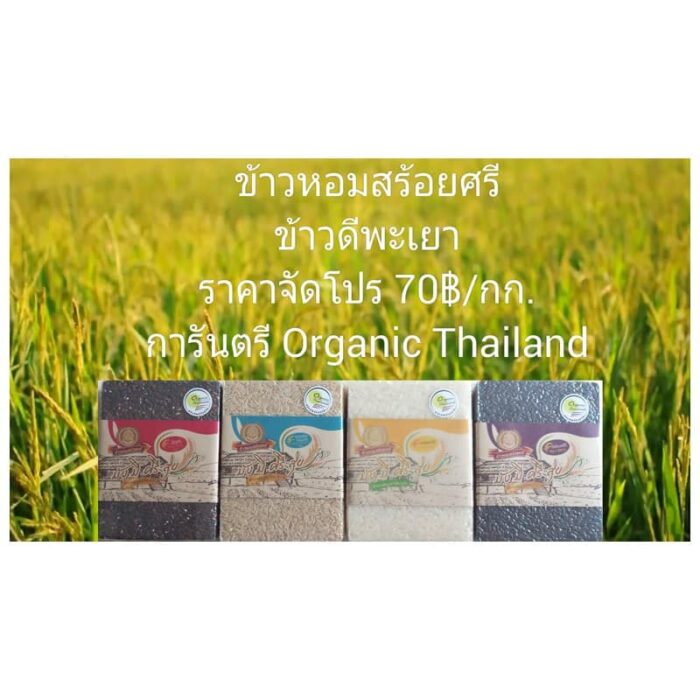ข้าวไรซ์เบอร์รี่ / ข้าวกล้องหอมมะลิ / ข้าวขาวหอมมะลิ /ข้าวก่ำพะเยา (เหนียวดำ) ตรา ข้าวหอมสร้อยศรี