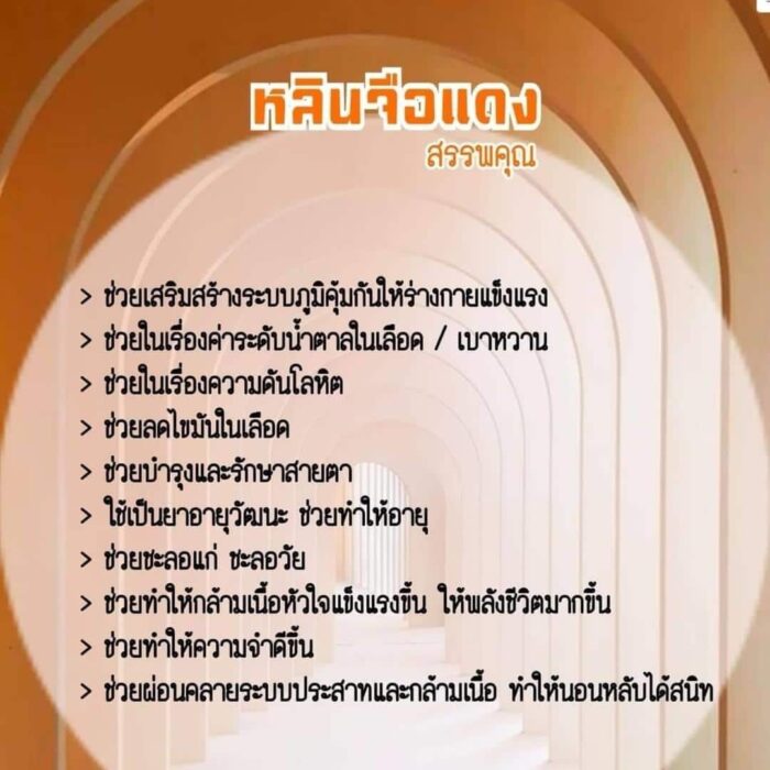 เห็ดหลินจืออบแห้ง 25g. - Image 2
