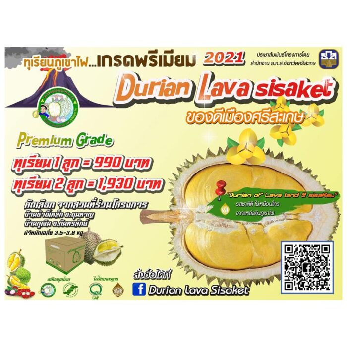 ทุเรียนภูเขาไฟศรีสะเกษ ตรา สกต.ศรีสะเกษ