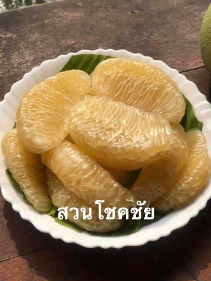 ส้มโอขาวแตงกวา @ สวนโชคชัย ตรา สวนโชคชัย - รูปภาพ 5