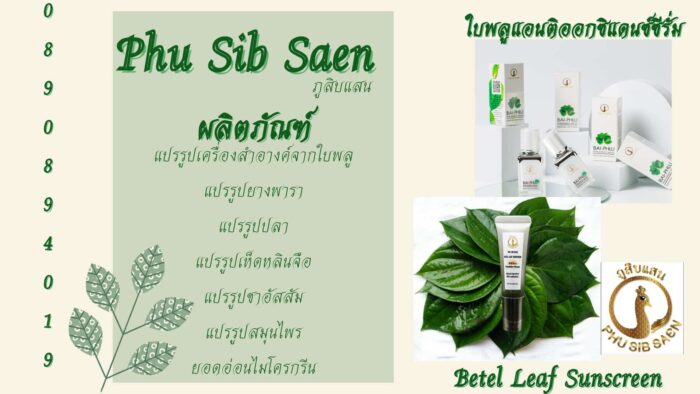 ครีมกันแดดใบพลู ปกป้องผิวจากแสงแดดและ UVA/UVB ด้วยค่า SPF 50 PA++++ ตรา ภูสิบแสน - รูปภาพ 2