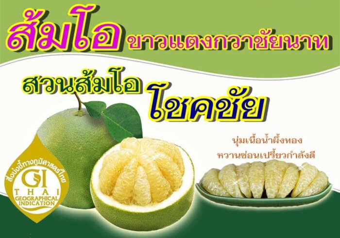 ส้มโอขาวแตงกวา @ สวนโชคชัย ตรา สวนโชคชัย - รูปภาพ 2