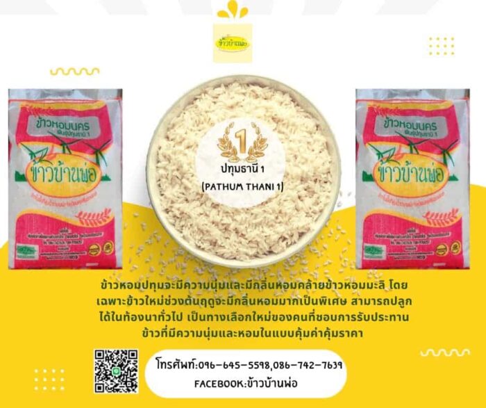 ข้าวหอมนคร (พันธุ์ปทุมธานี 1) น้ำหนัก 15 กิโลกรัม ตรา ข้าวบ้านพ่อ