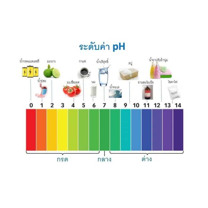 สบู่เหลวสมุนไพร Pluvicol 100ml ตรา พลูวิคอล - Image 3