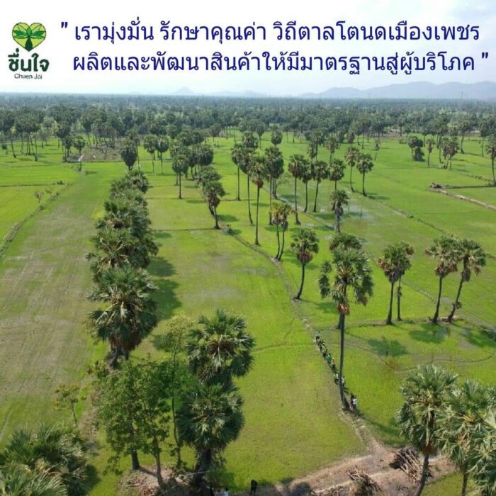 ลูกตาลอบแห้งหวาน 100 กรัม ตรา บ้านขนมไทยชื่นใจ - รูปภาพ 5