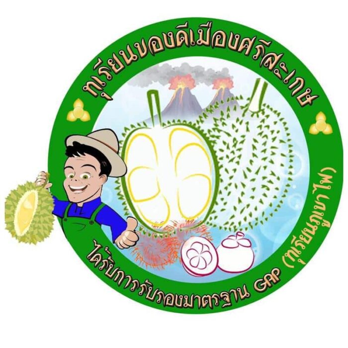 ทุเรียนภูเขาไฟศรีสะเกษ ตรา สกต.ศรีสะเกษ - รูปภาพ 8