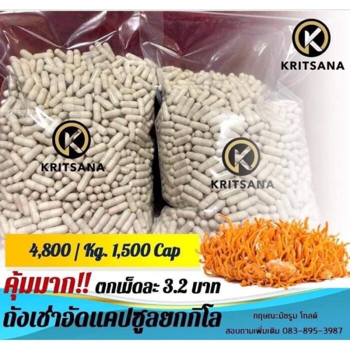 ถั่งเช่า ชนิดแคปซูล 1 กิโลกรัม ตรา Kritsana Farm