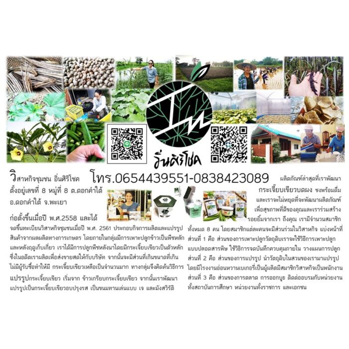 กระเจี๊ยบเขียวบดผง ตรา อิ่นศิริโชค ขนาด 200 กรัม บรรจุ 20 ซอง - รูปภาพ 4