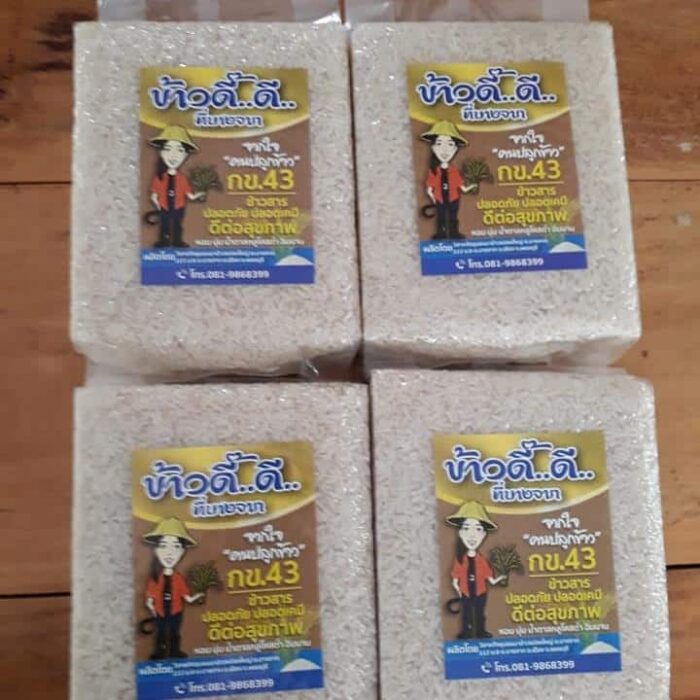 ข้าวกล้อง กข43 บรรจุ 1 กิโลกรัม ตรา ข้าวดี๊..ดี.. ที่บางจาก - รูปภาพ 3