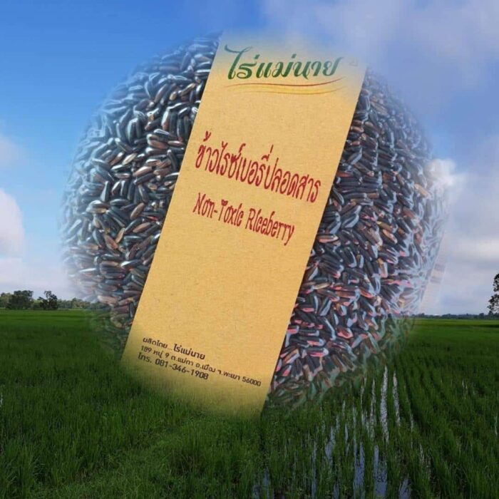 ข้าวไรซ์เบอร์รี่ปลอดสาร ตรา ไร่แม่นาย - รูปภาพ 4