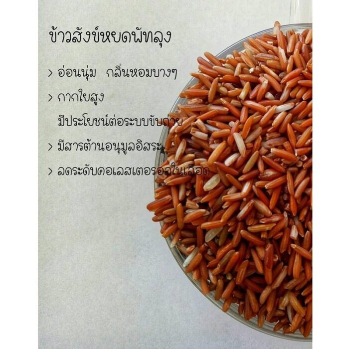 ข้าวสังข์หยด ตรา สกต.พัทลุง - รูปภาพ 2