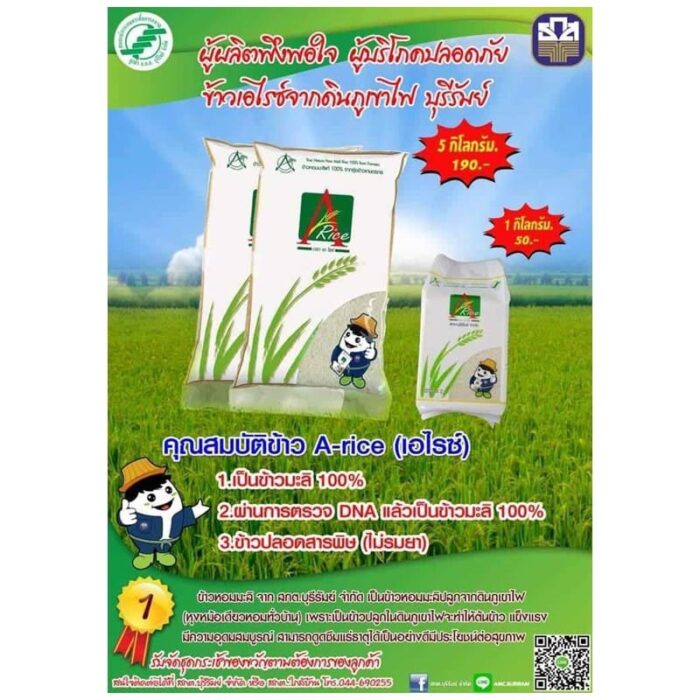 ข้าวหอมมะลิ จากดินภูเขาไฟ ตรา สกต. บุรีรัมย์ - รูปภาพ 8