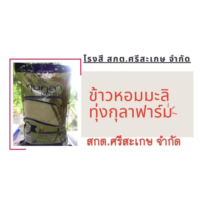 ข้าวสารหอมมะลิ 100% ทุ่งกุลาฟาร์ม บรรจุ 5 กิโลกรัม ตรา สกต. ศรีสะเกษ - รูปภาพ 8