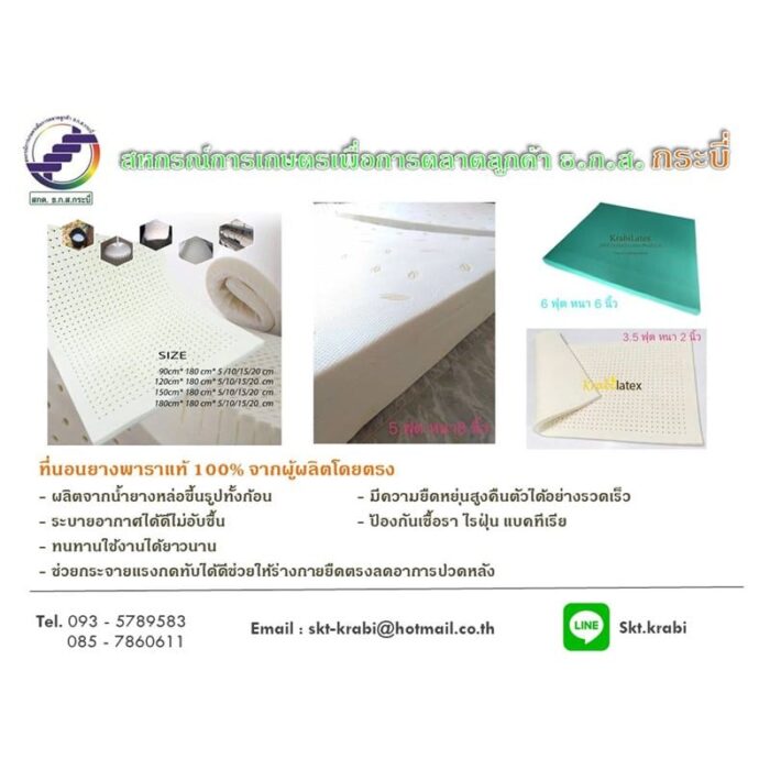 หมอนยางพาราและที่นอนยางพารา - Image 2