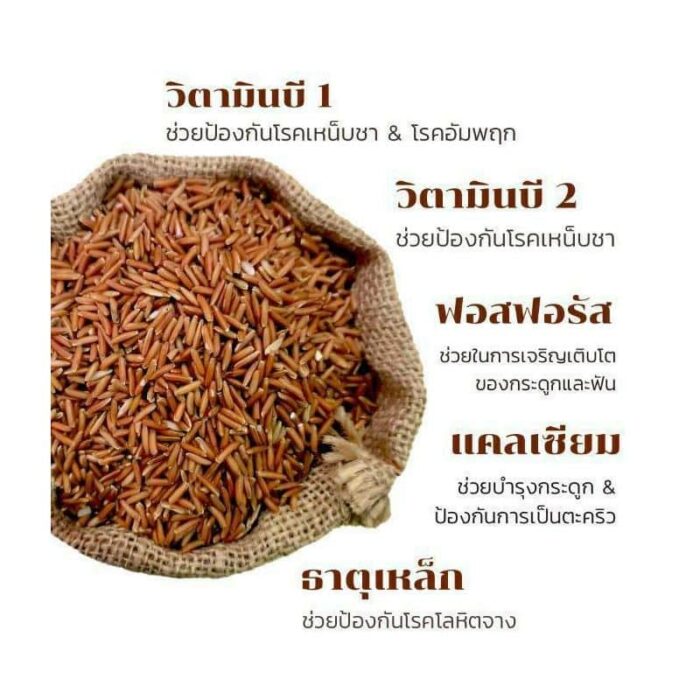 ข้าวสังข์หยดพัทลุง บรรจุ 1 กิโลกรัม ตรา SaBai Everything - รูปภาพ 4