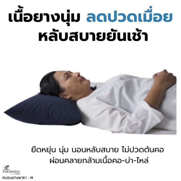 หมอนยางพาราบด ไซส์ M ตรา ParaRuksa - รูปภาพ 7