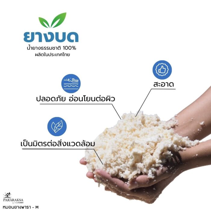 หมอนยางพาราบด ไซส์ M ตรา ParaRuksa - รูปภาพ 13