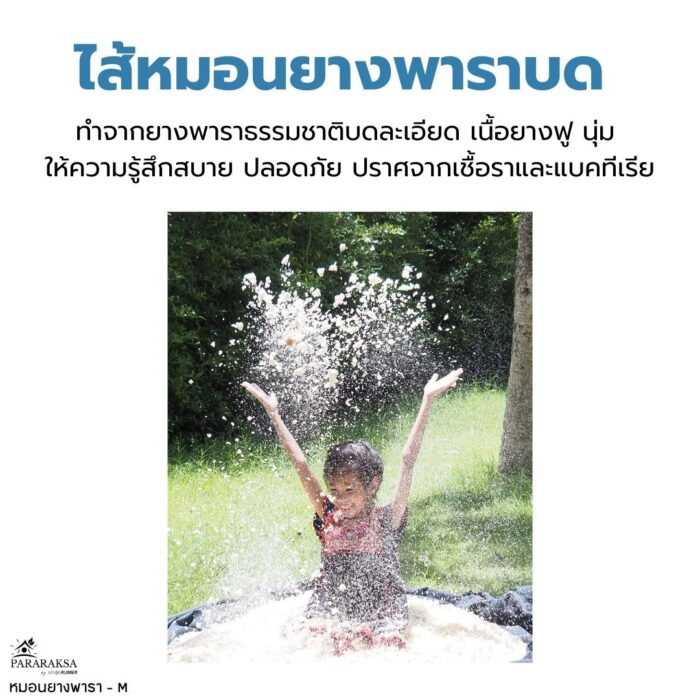 หมอนยางพาราบด ไซส์ M ตรา ParaRuksa - รูปภาพ 14