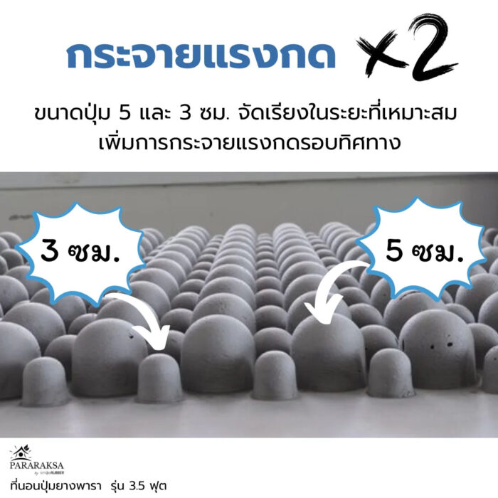 ที่นอนปุ่มยางพารา รุ่น 3.5 ฟุต ตรา ParaRuksa - รูปภาพ 4