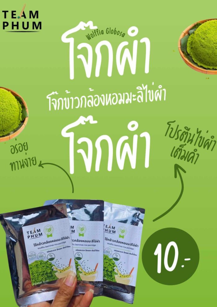 โจ๊กข้าวกล้องหอมมะลิไข่ผำ ขนาด 13 กรัม ตรา TEAM PHUM - รูปภาพ 2