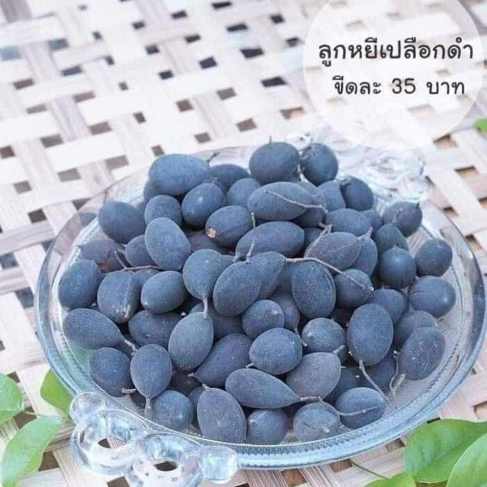 ลูกหยีเปลือกดำ ตรา ลูกหยีแม่เลื่อน