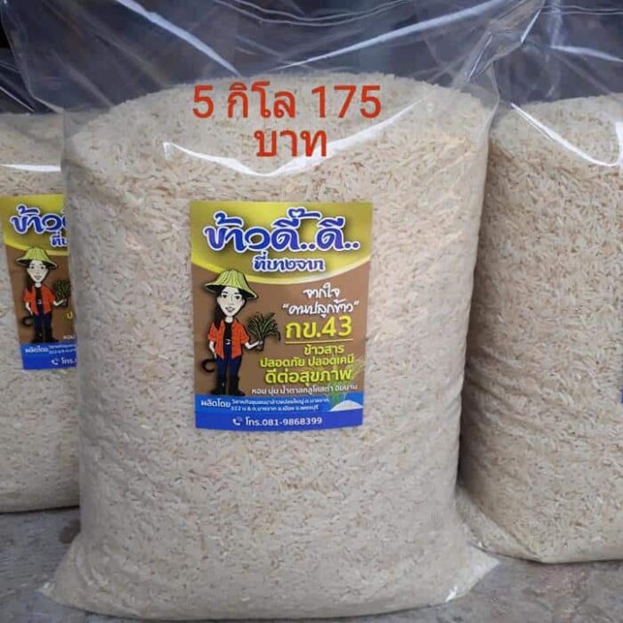 ข้าวขาว กข43 บรรจุ 5 กิโลกรัม ตรา ข้าวดี๊..ดี.. ที่บางจาก