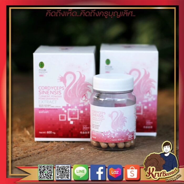 ถั่งเช่าสีทองแท้ ผสานสารสกัดทับทิม+ สำหรับสุภาพสตรี ตรา ครูบุญเลิศ