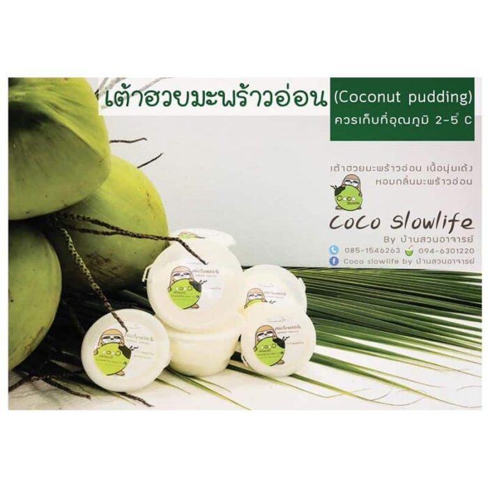 เต้าฮวยน้ำมะพร้าวอ่อน บรรจุ 230 g. ตรา Coco Slowlife