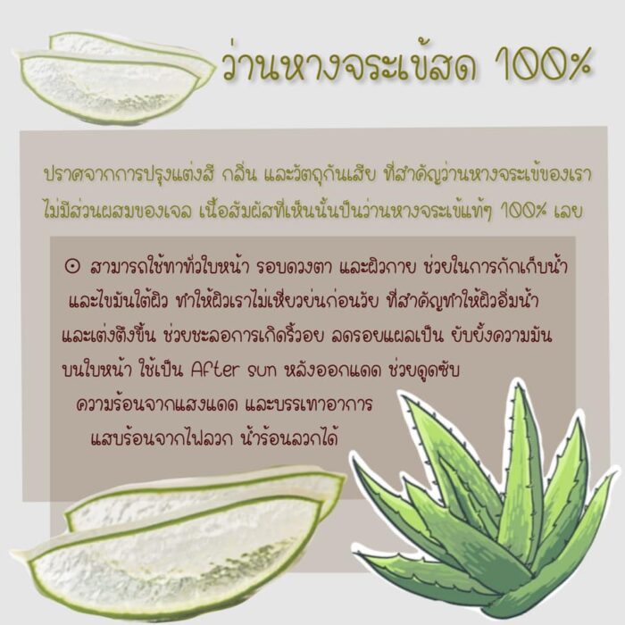 เจลว่านหางจระเข้ 500 ml ตรา ฟิวส์โคโคนัท - รูปภาพ 2