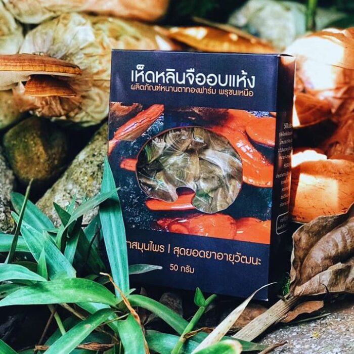 เห็ดหลินจือแดงอบเเห้ง