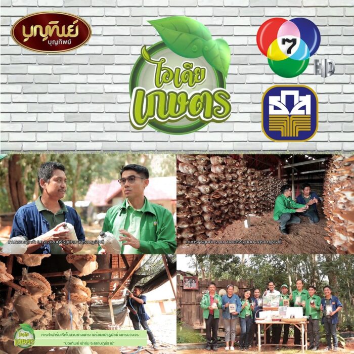 เห็ดแครงแห้ง น้ำหนัก 100 กรัม ตรา บุญทิพย์ - รูปภาพ 4